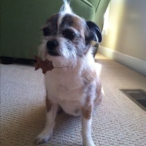 Meet your Posher, Becky