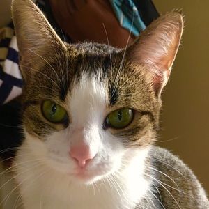 Meet your Posher, Andi