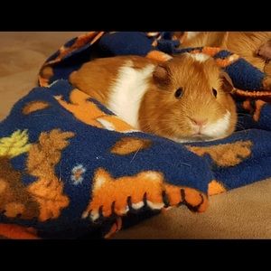 Meet your Posher, Katya