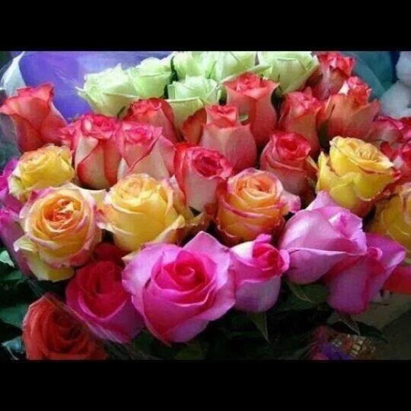 Meet your Posher, Robin