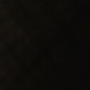 Meet your Posher, Isabella