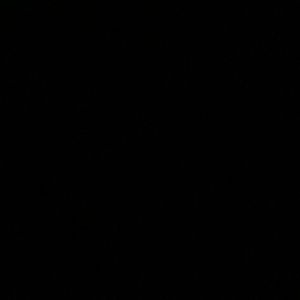 Meet your Posher, Iris