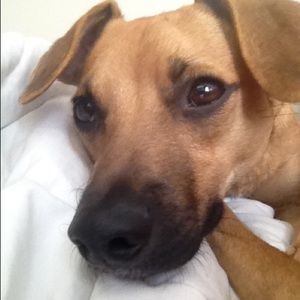 Meet your Posher, Kaylene