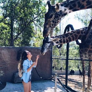 Meet your Posher, Susan