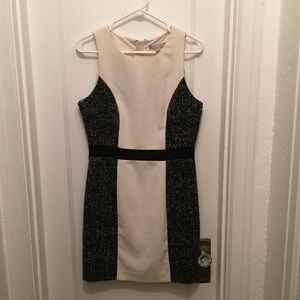 Banana Republic wool curvy dress