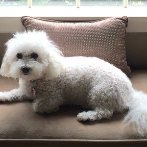 Meet your Posher, Jodi