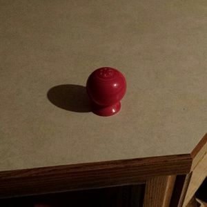 Meet your Posher, Sadie