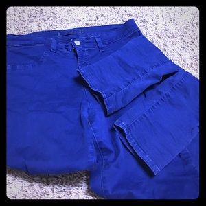 Jbrand Indio blue Maria Skinnies