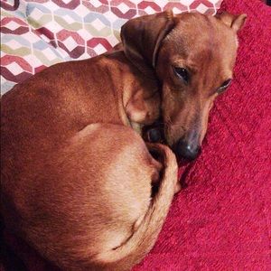 Meet your Posher, Sally