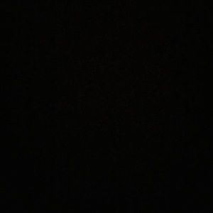 Meet your Posher, Shantelle