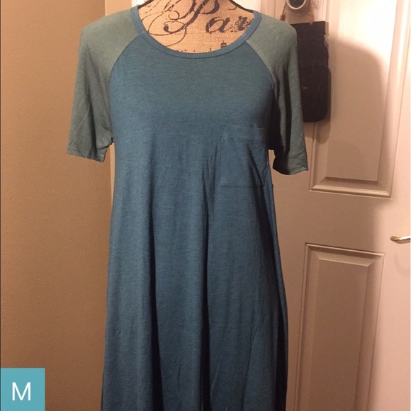 Soft and comfy LuLaRoe Carly dress