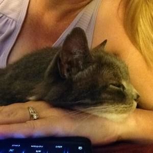 Meet your Posher, Cheryl