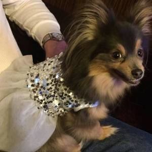 Meet your Posher, Mary