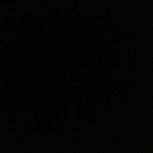 Meet your Posher, Will