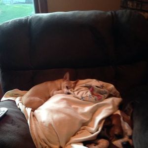 Meet your Posher, Mindy