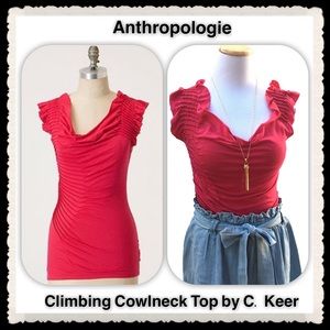 Climbing Cowlneck by C. Keer Anthropologie XS