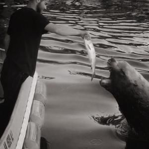 Meet your Posher, Jarrod