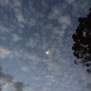 Meet your Posher, Harris