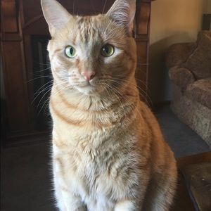 Meet your Posher, Lynne