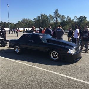 Meet your Posher, Wyatt