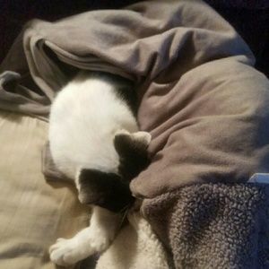 Meet your Posher, Colonna