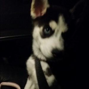 Meet your Posher, Bryan