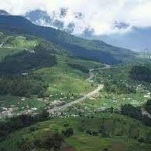 Meet your Posher, Luis