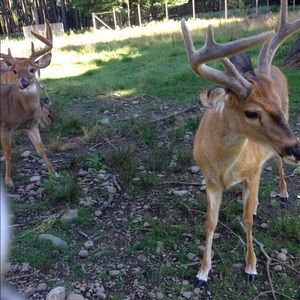 Meet your Posher, Christina