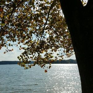 Meet your Posher, Claudia