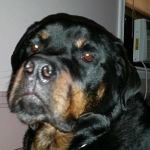 Meet your Posher, Cheryl