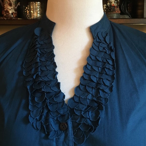 The Limited Fitted Blouse