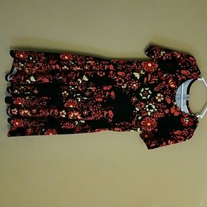 Lularoe Amelia large