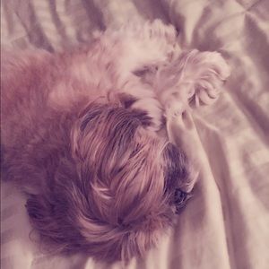 Meet your Posher, Ghazal