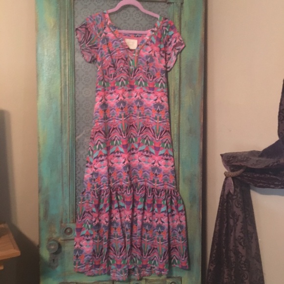 Anthropologie Vanessa Virginia Mural Dress size 10
