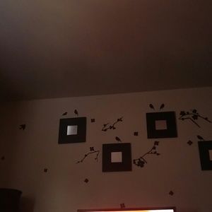 Meet your Posher, Carmen