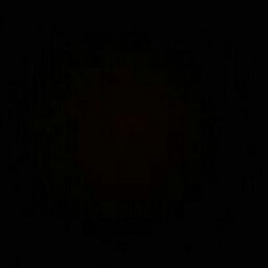 Meet your Posher, Ferguson