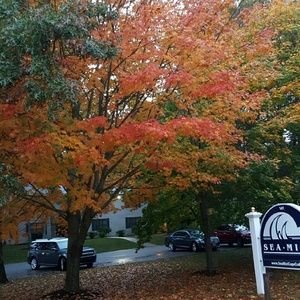 Meet your Posher, Marilyn