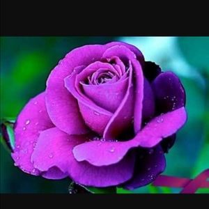 MAKE ME A REASONABLE OFFER