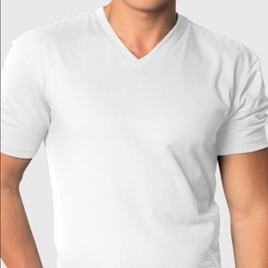Fitted V-Neck T-Shirt