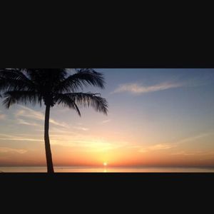 Meet your Posher, Cece