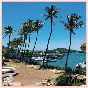 Meet your Posher, Walter