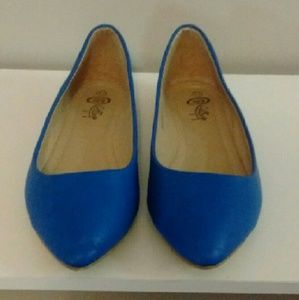 Blue flats, size 8.5