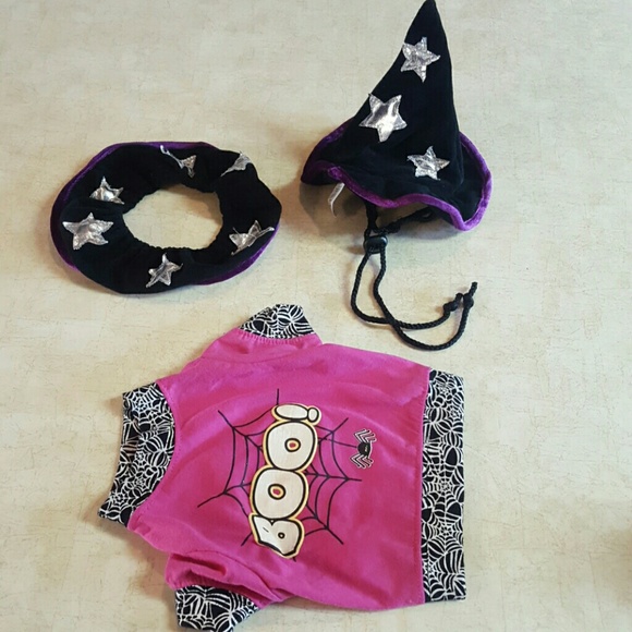 Halloween Dog Witch Costume