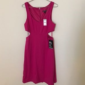 Express fuscia dress NWT 4