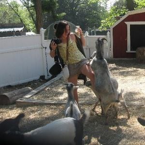 Meet your Posher, Allie