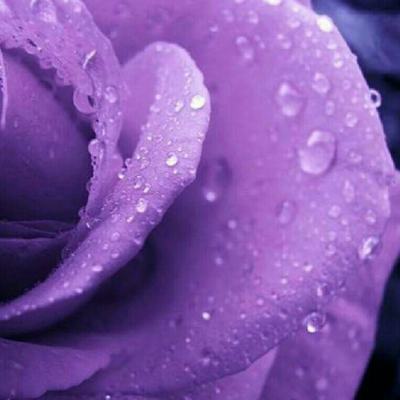 Meet your Posher, Mary - Picture 1 of 1