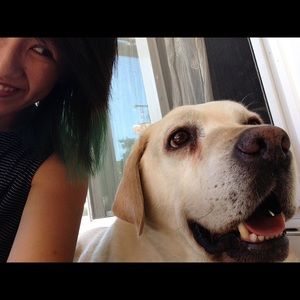 Meet your Posher, Priscilla