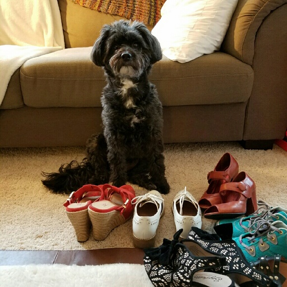 Meet your Posher, Jina - Picture 2 of 2