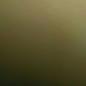 Meet your Posher, Kalitha