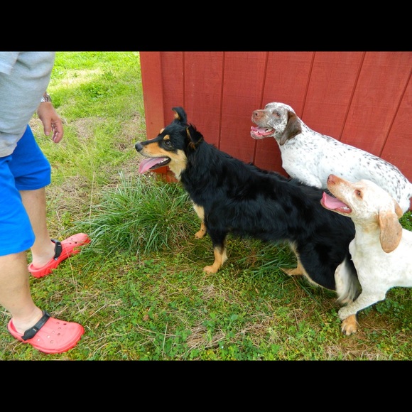 Tennessee Posher ๐Ambassador ๐ - Picture 3 of 3